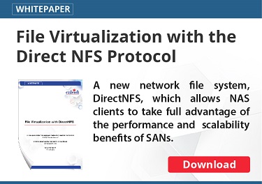 file-virtualization-with-the-direct-nfs-protocol-cta-whitepaper-design-07