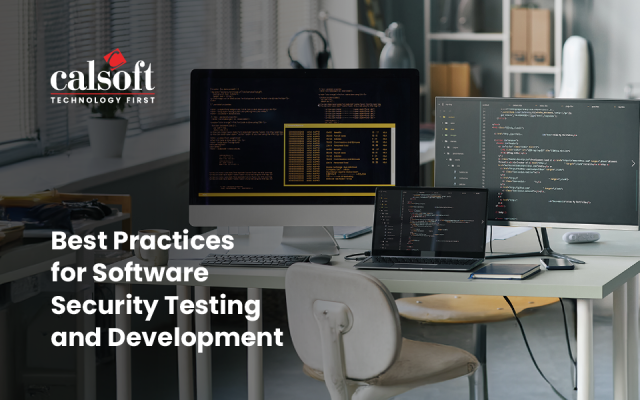 Best Practices for Software Security Testing and Development