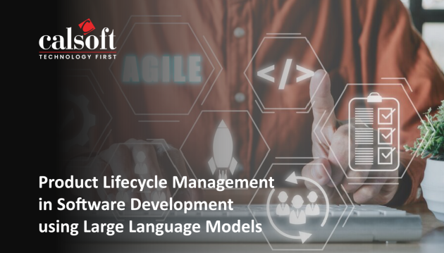 Product Lifecycle Management in Software Development using Large Language Models