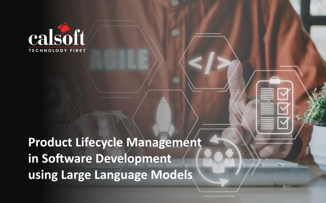 Product Lifecycle Management in Software Development using Large Language Models