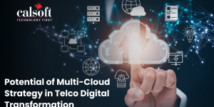 Potential of Multi-Cloud Strategy in Telco Digital Transformation