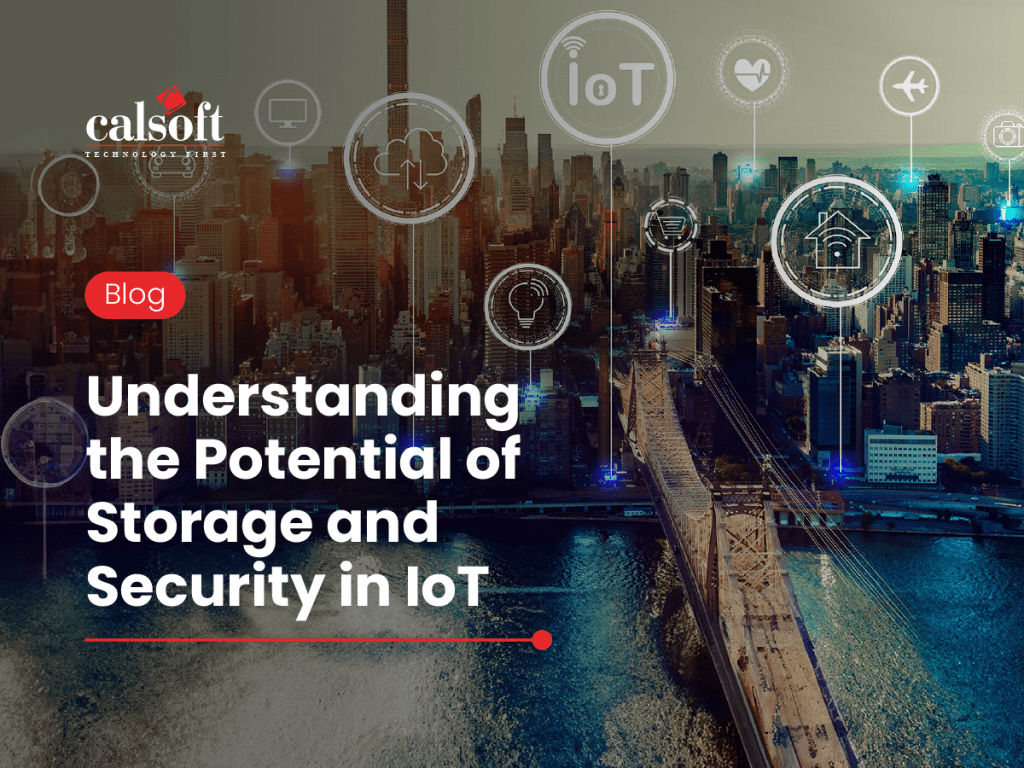 Understanding the Potential of Storage and Security in IoT